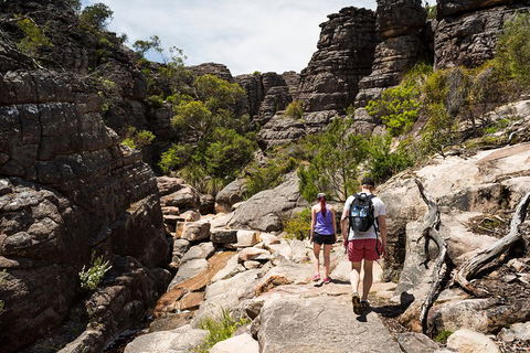 Grampians National Park With Kangaroos And MacKenzie Falls From Melbourne - Northern Rivers Accommodation 3