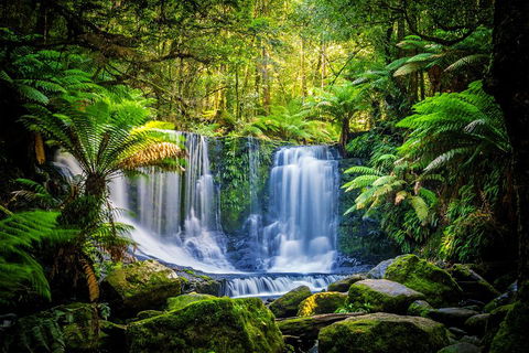 Day Tour In Mt. Field, Mt. Wellington, Bonorong Wildlife Sanctuary And Richmond - Northern Rivers Accommodation 0