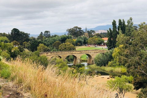 Day Tour In Mt. Field, Mt. Wellington, Bonorong Wildlife Sanctuary And Richmond - Northern Rivers Accommodation 3