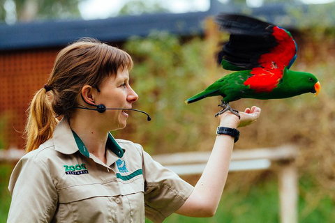 VIP Sanctuary Tour At Healesville Sanctuary Ticket - Northern Rivers Accommodation 0