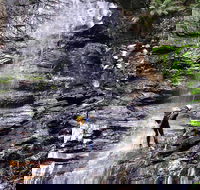 Full-Day Canyoning Experience at Stunning Empress Canyon - Northern Rivers Accommodation