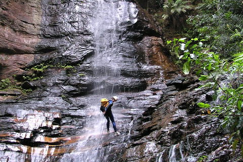 Full-Day Canyoning Experience At Stunning Empress Canyon - Northern Rivers Accommodation 0