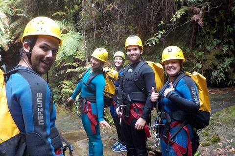 Full-Day Canyoning Experience At Stunning Empress Canyon - Northern Rivers Accommodation 1