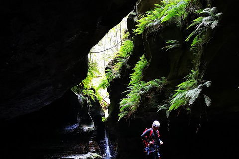 Full-Day Canyoning Experience At Stunning Empress Canyon - Northern Rivers Accommodation 2