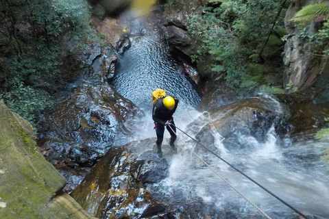 Full-Day Canyoning Experience At Stunning Empress Canyon - Northern Rivers Accommodation 4