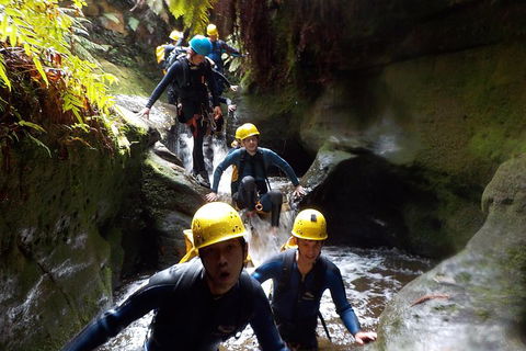 Full-Day Canyoning Experience At Stunning Empress Canyon - Northern Rivers Accommodation 5