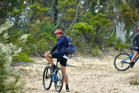 Blue Mountains Hanging Rock SELF-GUIDED Mountain Bike Hire Service - Northern Rivers Accommodation 4