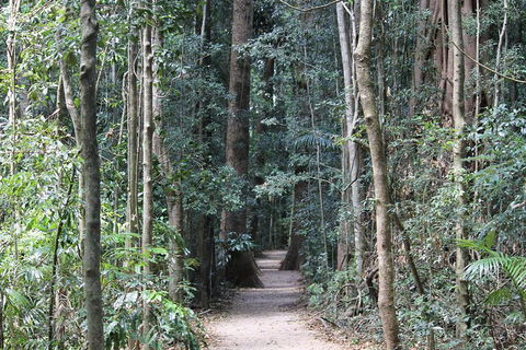 Eumundi Markets And Sunshine Coast Day Trip From Brisbane - Northern Rivers Accommodation 4