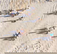 Unlimited Sandboarding - Northern Rivers Accommodation