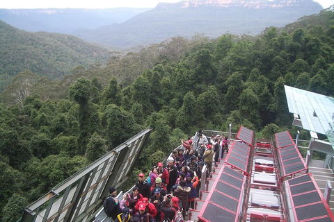 Blue Mountains Private Tour With Wildlife Park And River Cruise - Northern Rivers Accommodation 1