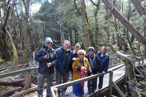 Blue Mountains Private Tour With Wildlife Park And River Cruise - Northern Rivers Accommodation 2