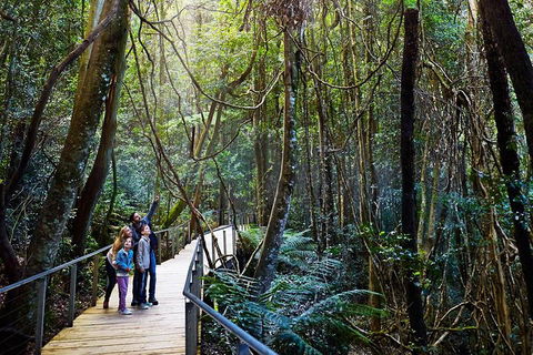 Blue Mountains Private Tour With Wildlife Park And River Cruise - Northern Rivers Accommodation 4