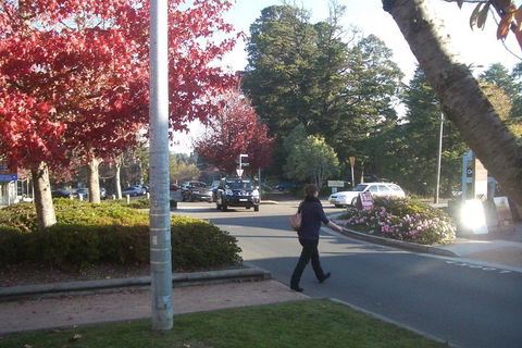 PRIVATE All-Day Blue Mountains Tour With Professional Guide For Up To 4 People - Northern Rivers Accommodation 1