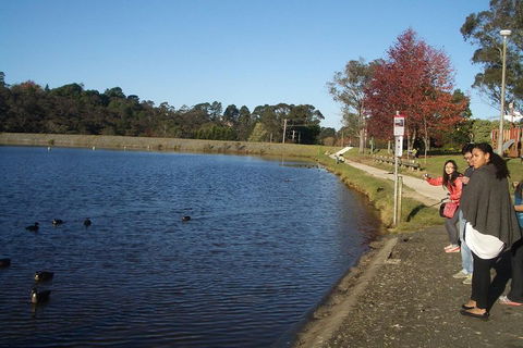 PRIVATE All-Day Blue Mountains Tour With Professional Guide For Up To 4 People - Northern Rivers Accommodation 2