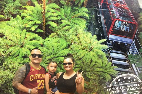 Blue Mountains Private Full-Day Tour From Sydney With Cruise - Northern Rivers Accommodation 3