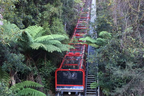 Blue Mountains Private Full-Day Tour From Sydney With Cruise - Northern Rivers Accommodation 5