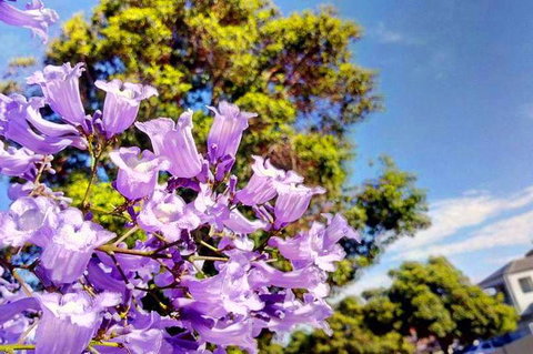 Big Perth (Private) Day Tour - Northern Rivers Accommodation 3