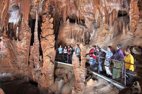 Private Tour: Jenolan Caves & Blue Mountains In A Day - Northern Rivers Accommodation 0