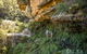 Private Guided: Blue Mountains Hiking & Nature Tour - thumb 2