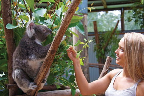 Private Guided Tour: Blue Mountains Tour From Sydney - Northern Rivers Accommodation 5