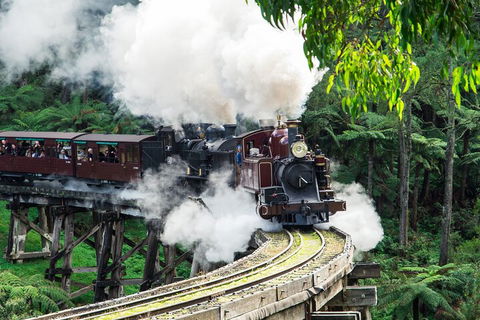 Puffing Billy And Healesville Sanctuary Scenic Tour - Northern Rivers Accommodation 1