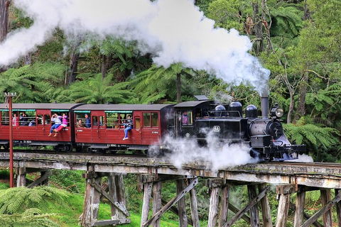 Puffing Billy And Healesville Sanctuary Scenic Tour - Northern Rivers Accommodation 2