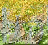Margaret River Indulge and Discover Day Tour - Northern Rivers Accommodation