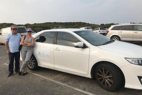 Full-Day Private Australian Wildlife Tour Of Phillip Island - Northern Rivers Accommodation 1