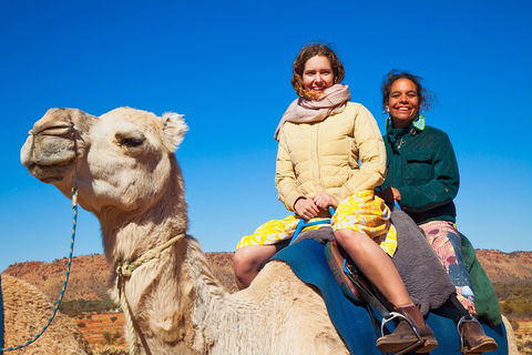 Alice Springs Camel Tour - Northern Rivers Accommodation 3