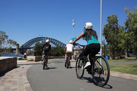The Sydney Express - Northern Rivers Accommodation 0