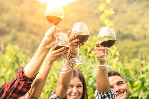 Adelaide Hills Day Tour. Winery Cellar Doors - Northern Rivers Accommodation 0