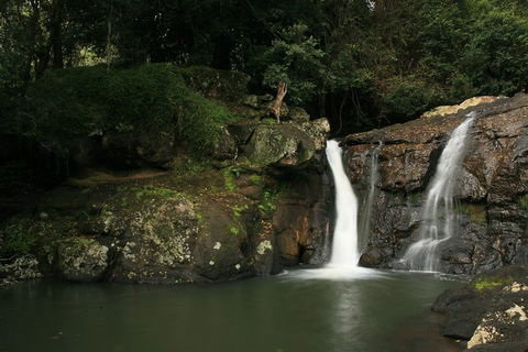 Hinterland Magic & Glow-worm Experience - Northern Rivers Accommodation 2