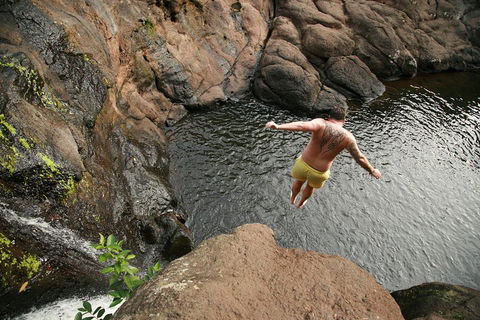 Hinterland Magic & Glow-worm Experience - Northern Rivers Accommodation 3