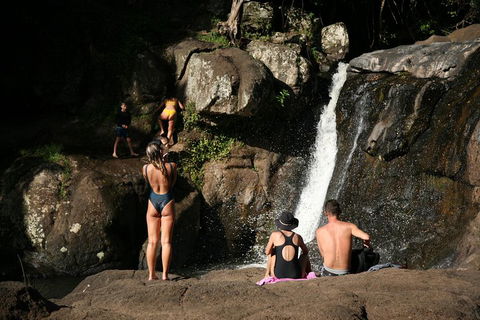Hinterland Magic & Glow-worm Experience - Northern Rivers Accommodation 5