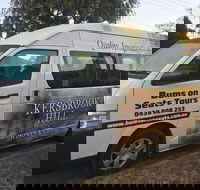 Theme Park Transfer From Brisbane - Northern Rivers Accommodation