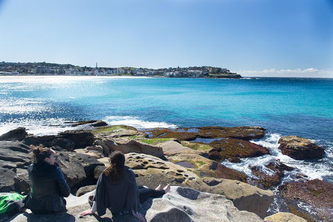 Kiama South Coast Tour With Coastline, Farmlands, Aboriginal Engravings & Lunch - Northern Rivers Accommodation 2