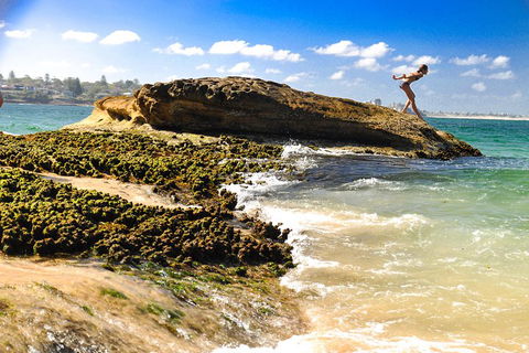 Kiama South Coast Tour With Coastline, Farmlands, Aboriginal Engravings & Lunch - Northern Rivers Accommodation 4
