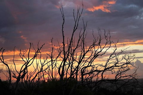 Sydney Harbour, Northern Beaches And National Park - Northern Rivers Accommodation 4