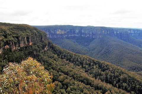 Blue Mountains - Northern Rivers Accommodation 3