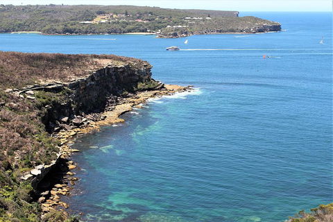 Half Day Manly Beach And More - Northern Rivers Accommodation 0