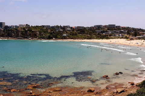 Half Day Manly Beach And More - Northern Rivers Accommodation 2