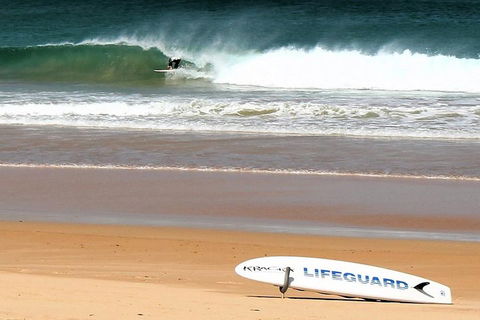 Half Day Manly Beach And More - Northern Rivers Accommodation 5