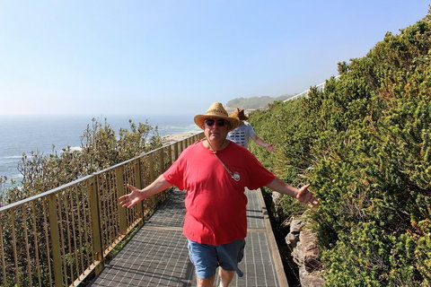 Bondi Beach And Beyond - Northern Rivers Accommodation 4