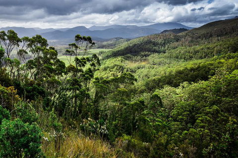 3-Day Tour To The Falls, Mountains, Lake & More Of West Coast Tasmania - Northern Rivers Accommodation 0