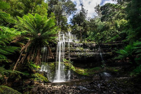 3-Day Tour To The Falls, Mountains, Lake & More Of West Coast Tasmania - Northern Rivers Accommodation 4