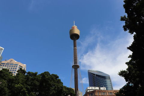 Private Sydney City Customized Tour - Northern Rivers Accommodation 0