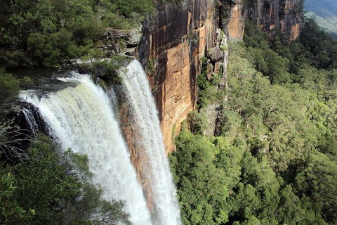 Private Grand Pacific Drive And Southern Highlands Tour - Northern Rivers Accommodation 1