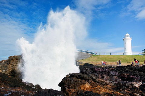 Private Grand Pacific Drive And Southern Highlands Tour - Northern Rivers Accommodation 4