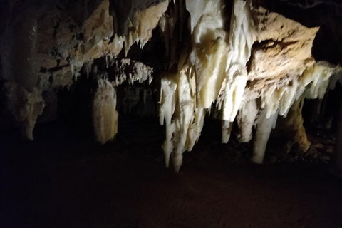 The Pinnacle Adventure Tour - Northern Rivers Accommodation 0