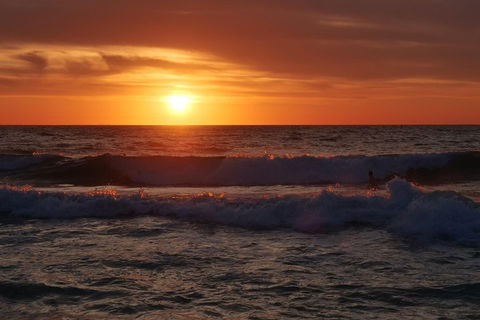 Australian Animals, Seascape And Sunset Photography Tour - Northern Rivers Accommodation 5